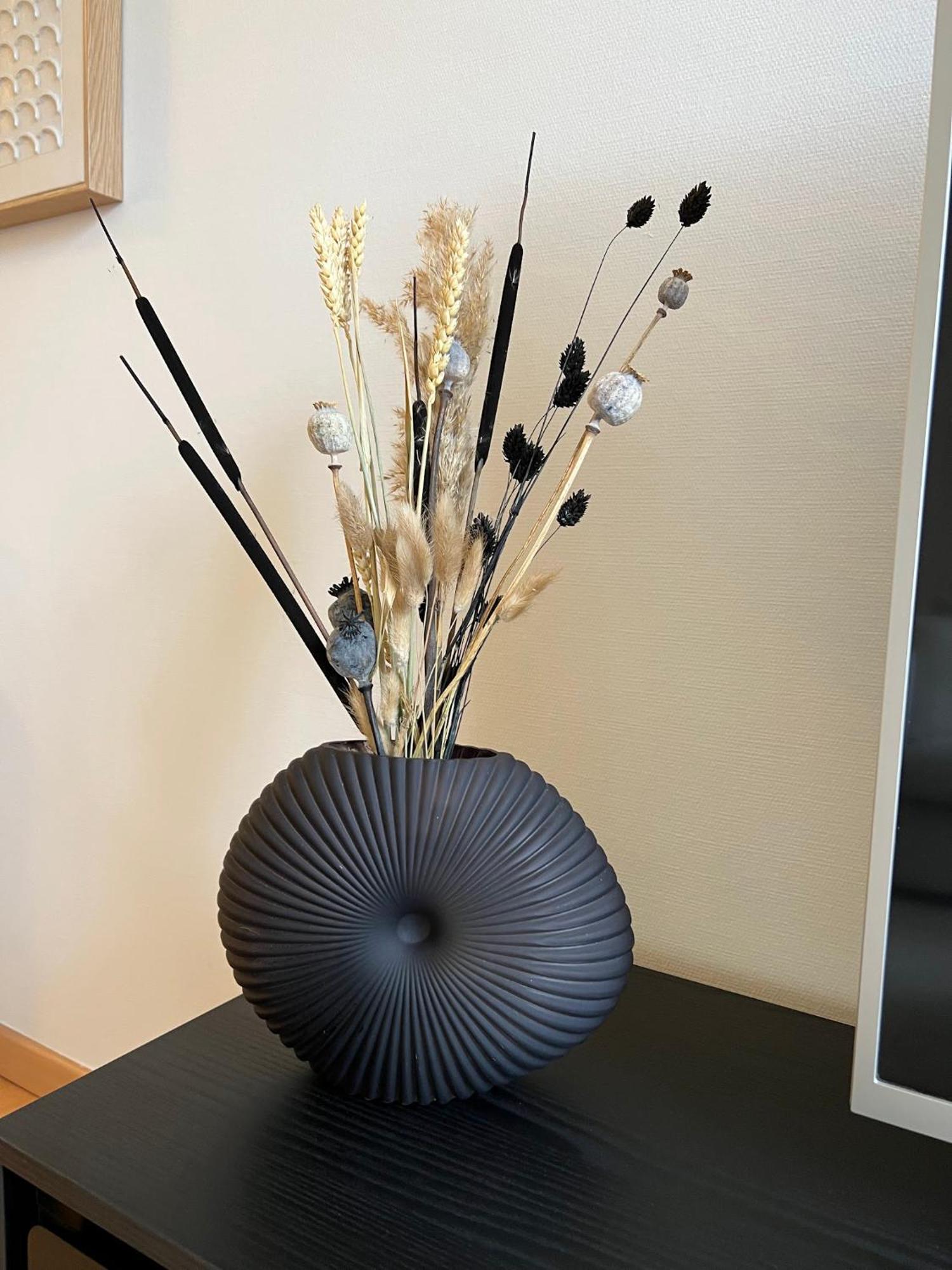 Ostend C Apartment エクステリア 写真